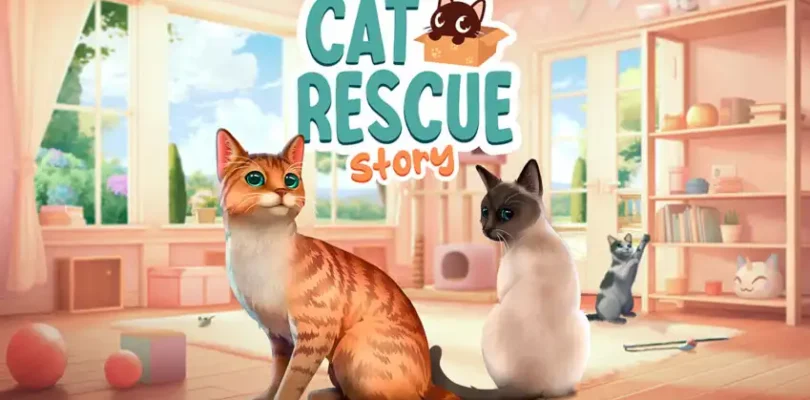 Cat Rescue Story