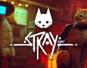 Stray