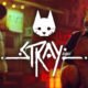 Stray