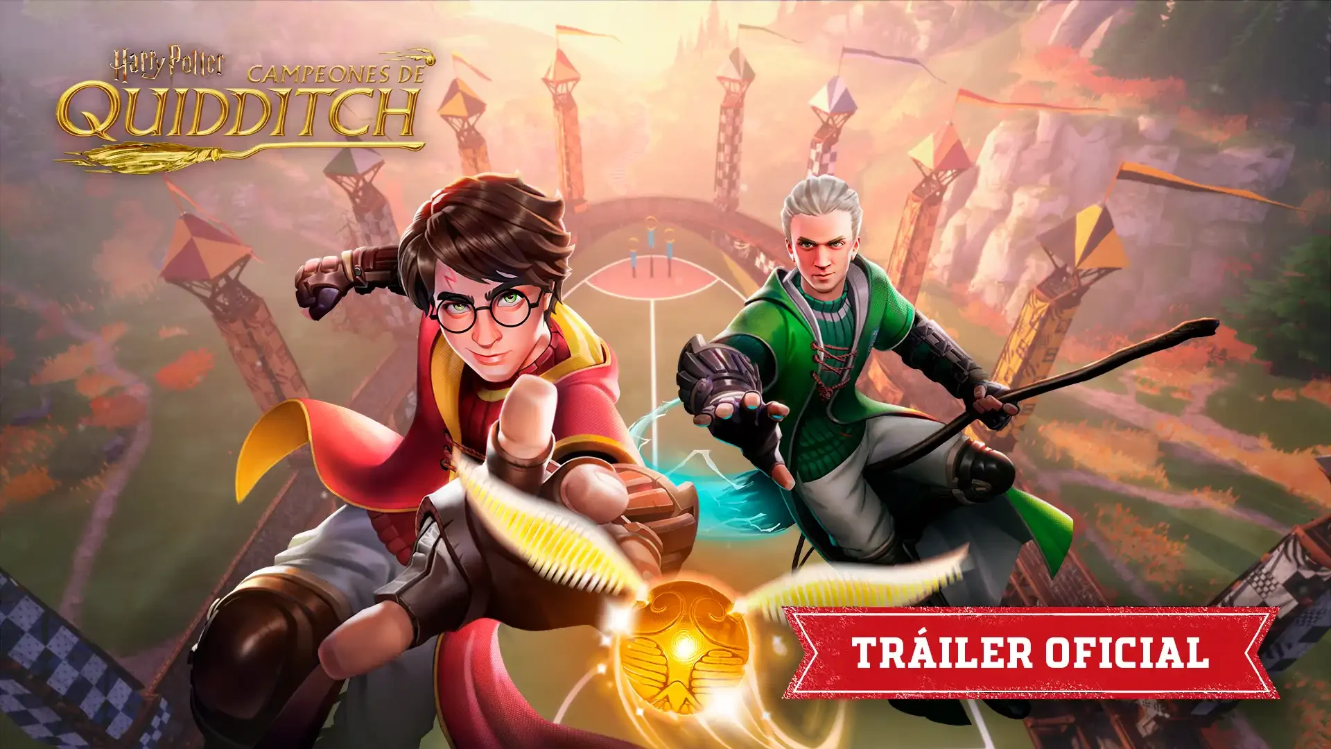 Harry Potter Campeones de Quidditch