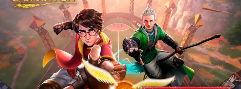 Harry Potter Campeones de Quidditch