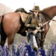 Red Dead Online