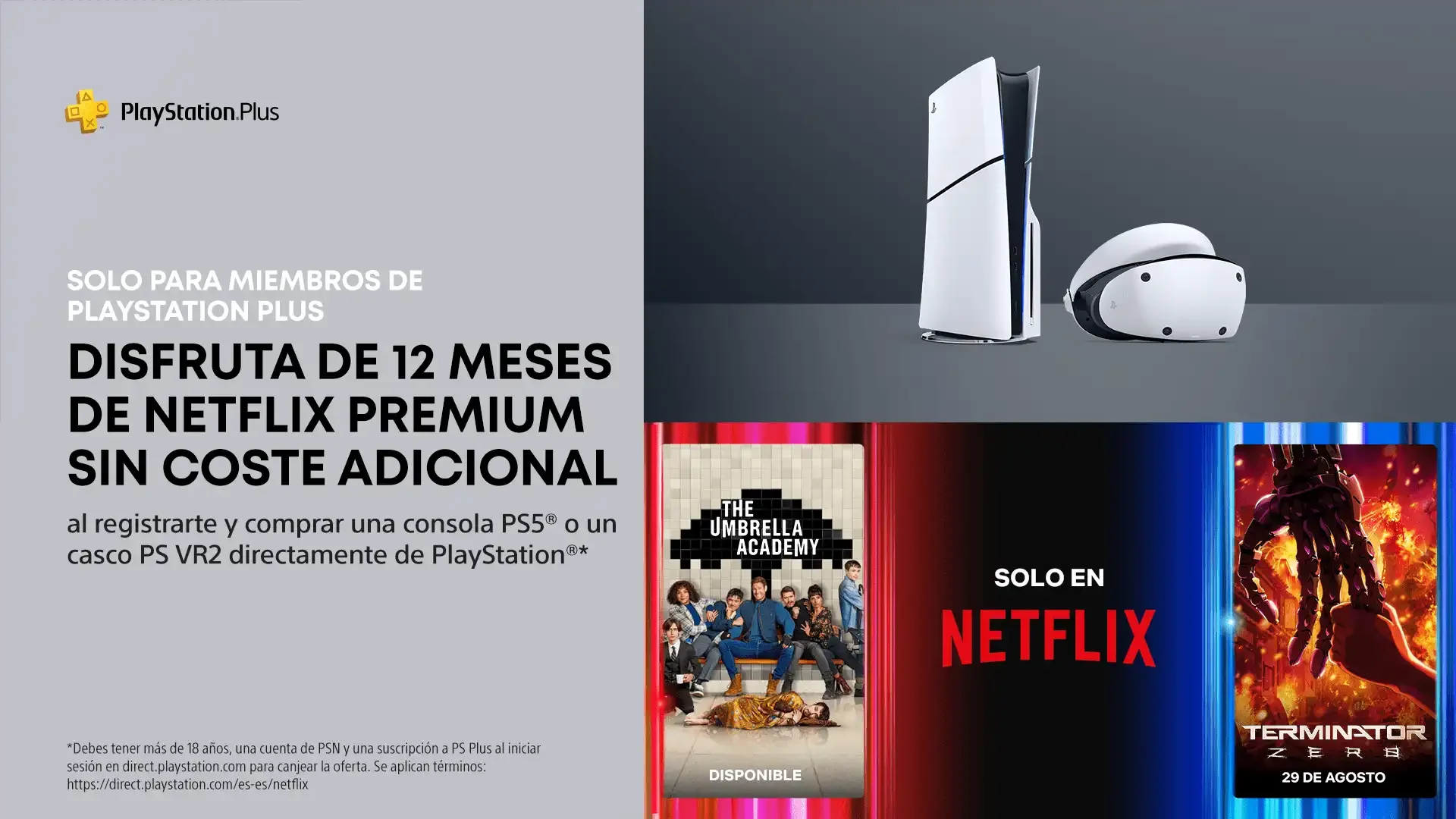 PlayStation 5 - Netflix
