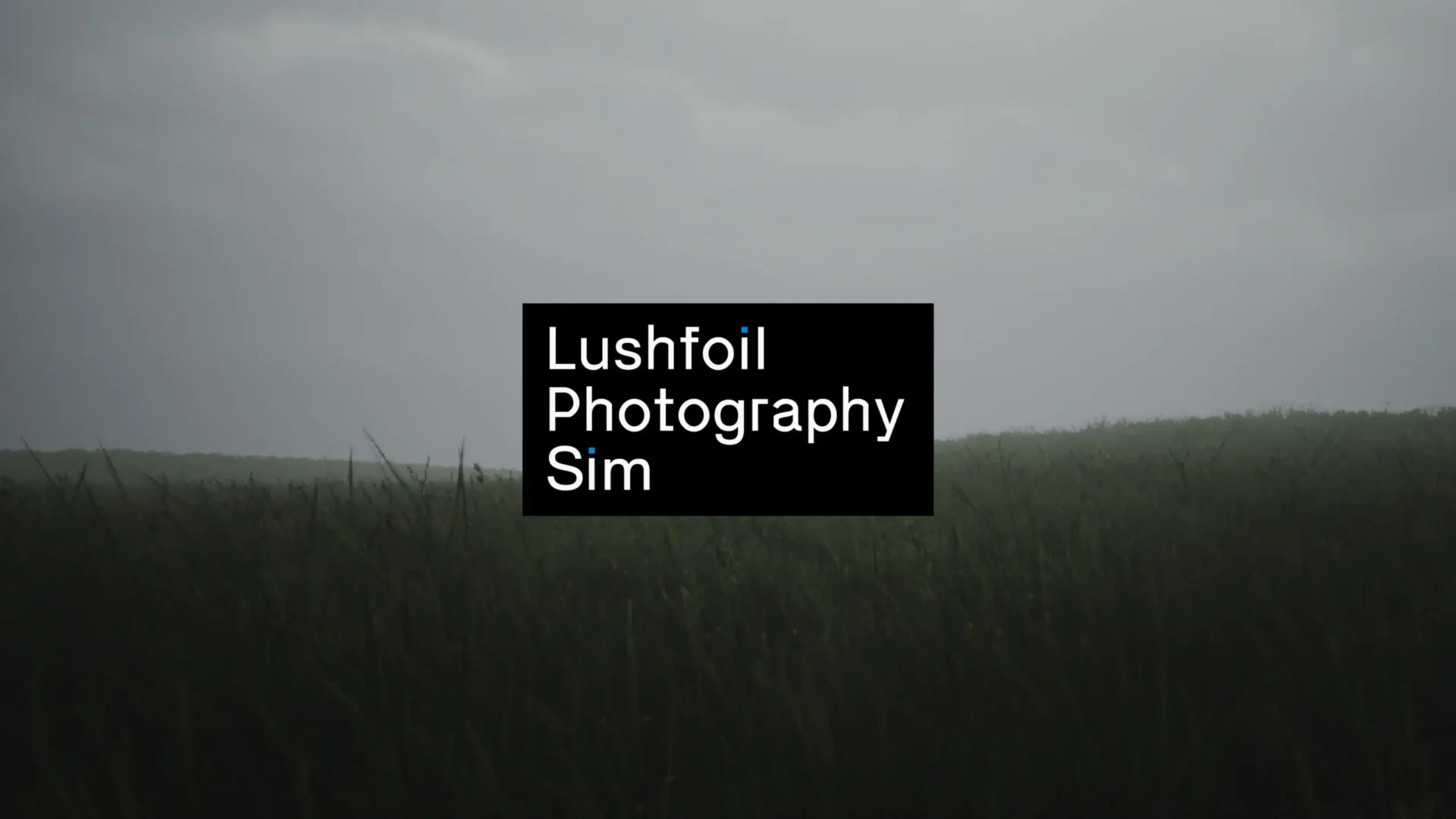 Lushfoil Photography Sim