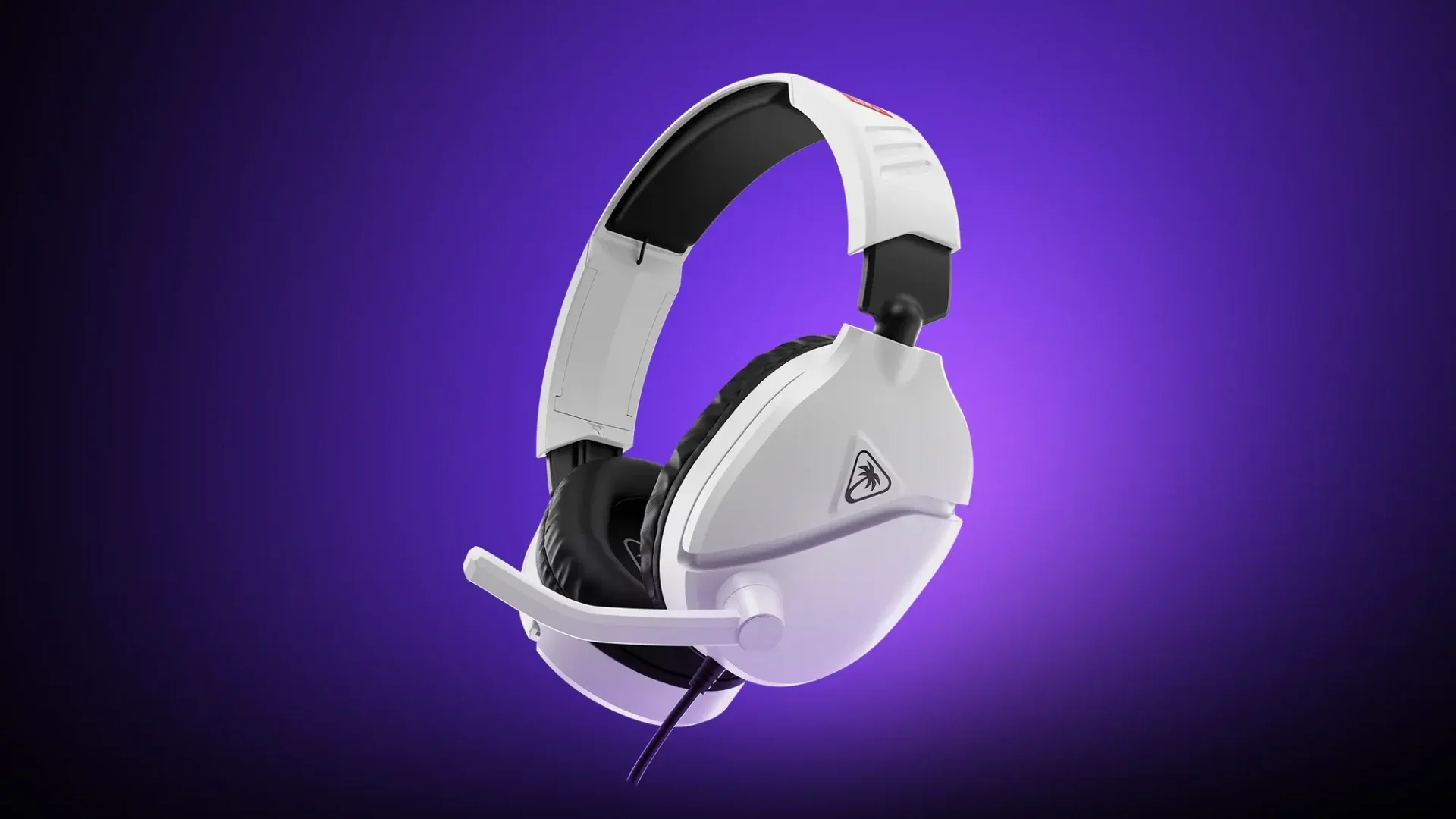 Turtle Beach