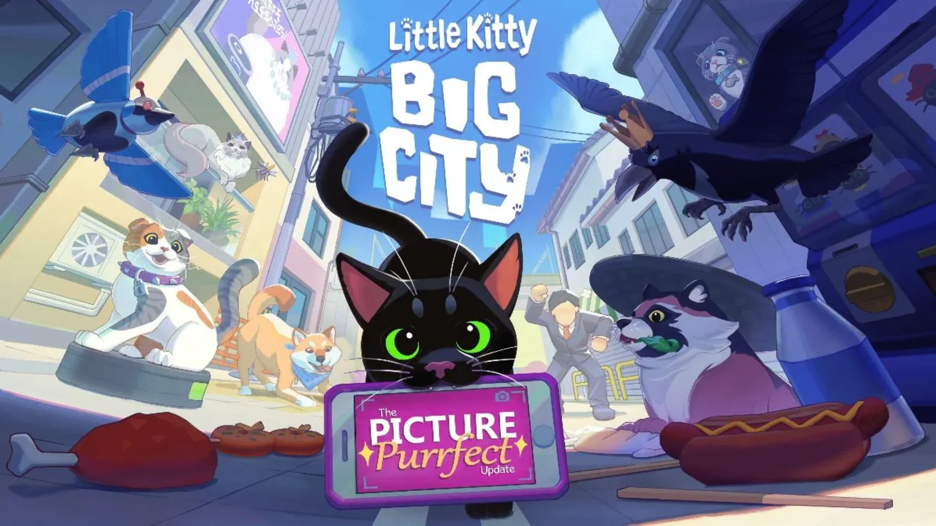 Little Kitty, Big City - The Picture Purrfect