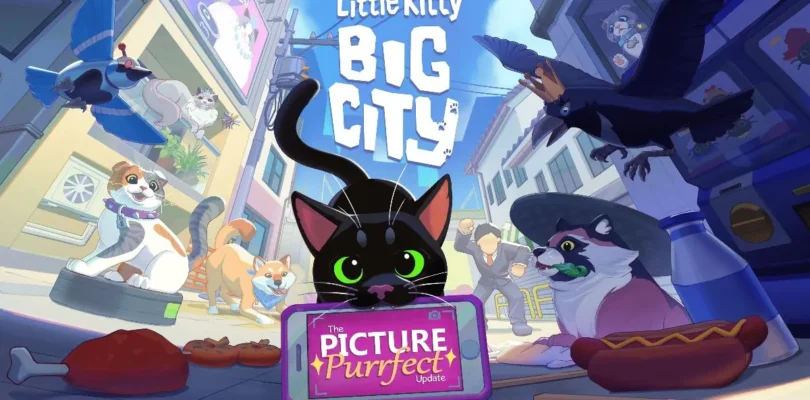 Little Kitty, Big City - The Picture Purrfect