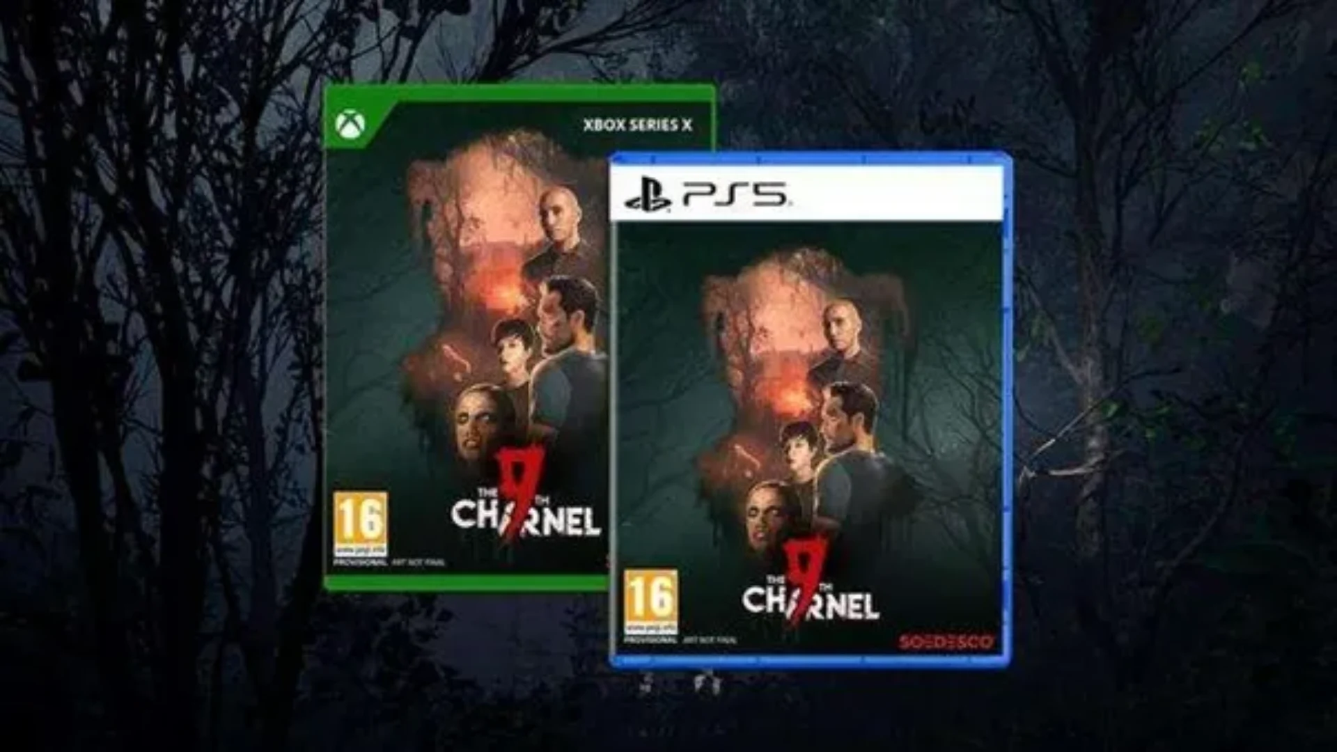The 9th Charnel - Edición física
