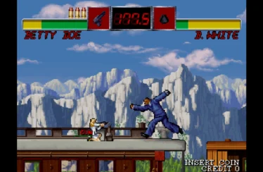 Arcade Archives THE OUTFOXIES