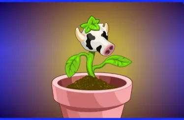 Los Sims 4 - Programa de creadores