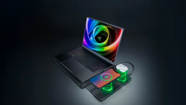 Razer Laptop Sleeve 16'' 1