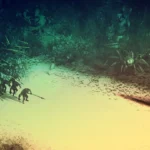 EverSiege Untold Ages