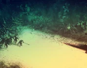 EverSiege Untold Ages