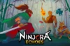 Ninjora Echoes