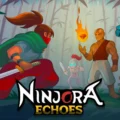 Ninjora Echoes