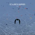 Pigeon: A Love Story