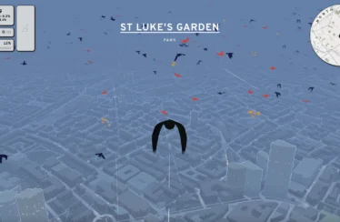Pigeon: A Love Story