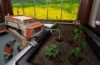 Agronom
