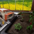 Agronom