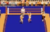Arcade Archives TAG TEAM WRESTLING