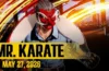 Fatal Fury: City of the Wolves - Mr. Karate