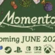 Momento