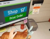 Order 13 VR