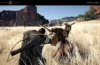 Crimson Desert - Actualización junio 2026
