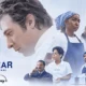 The Bear - Temporada Final