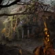 Witchfire