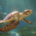Planet Zoo 2 - Acuarios