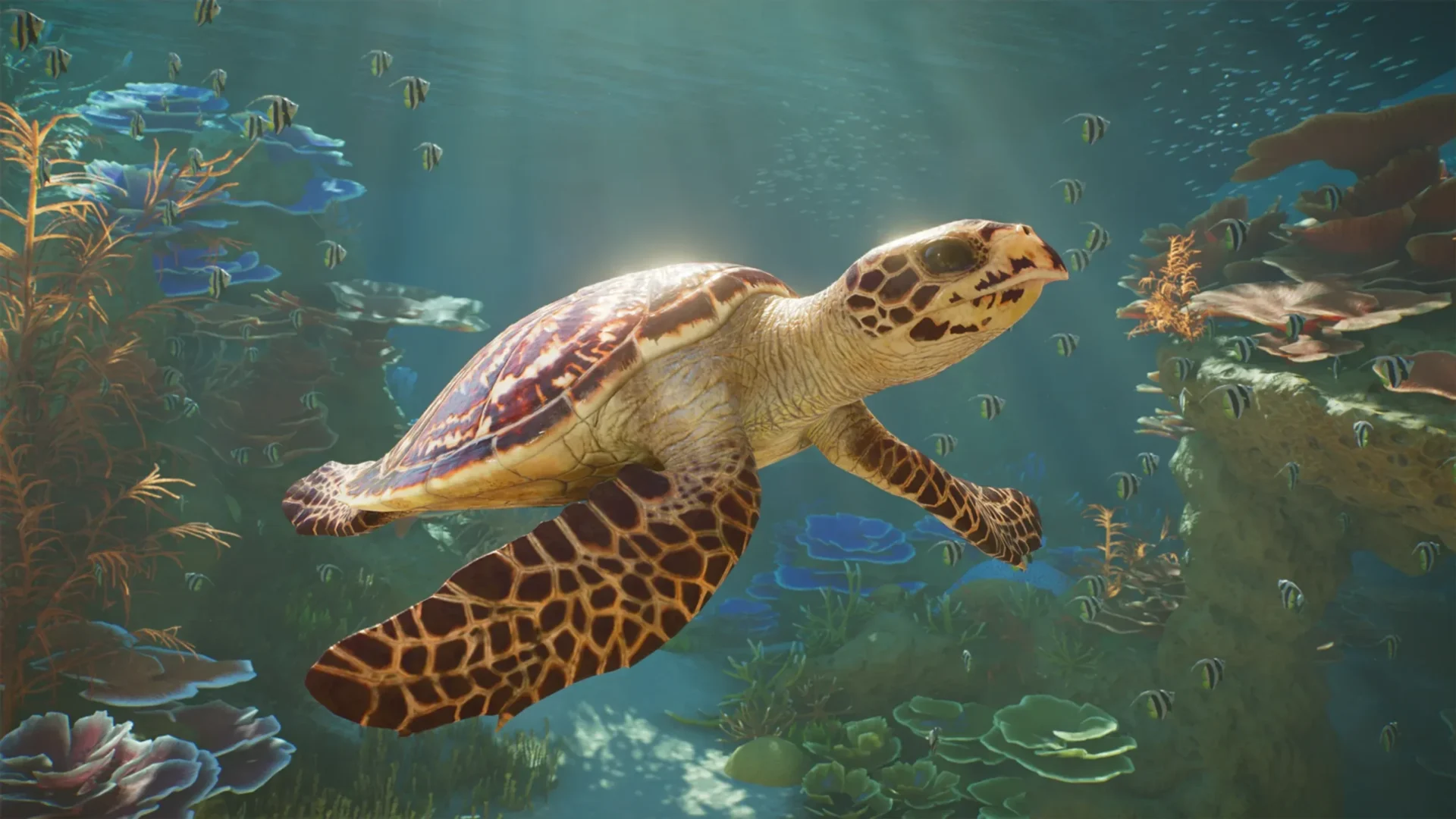 Planet Zoo 2 - Acuarios