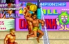 Arcade Archives 2 V'BALL