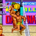 Arcade Archives 2 V'BALL