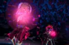 Demon's Night Fever
