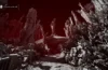 The Alighieri Circle Dante´s Bloodline