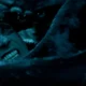 Whalefall
