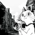 Cat Me If You Can
