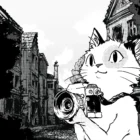 Cat Me If You Can